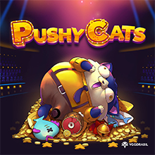 pushy cats